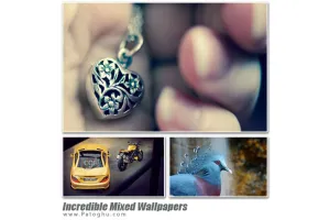 مجموعه کاغذ دیواری دسکتاپ گوناگون و با کیفیت - Incredible Mixed Wallpapers