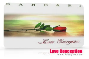 دانلود آلبوم موسیقی بی کلام و آرامش بخش مفهوم عشق از گروه Bandari