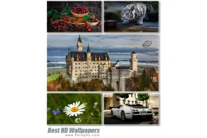 دانلود مجموعه تصاویر با کیفیت بالا برای پس زمینه دسکتاپ Best HD Wallpapers