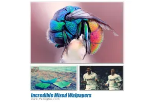 دانلود مجموعه 98 پس زمینه دسکتاپ با کیفیت و دیدنی دسکتاپ - Incredible Mixed Walpapers