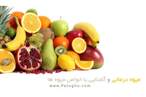 دانلود کتاب میوه درمانی و آشنایی کامل با خواص مفید میوه ها