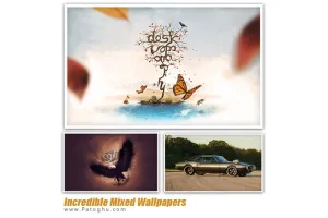 دانلود مجموعه 100 پس زمینه با کیفیت HD و زیبا - Incredible Mixed Wallpapers