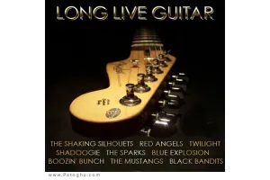دانلود مجموعه آهنگ های بی کلام گیتار عاشقانه VA Long Love Guitar