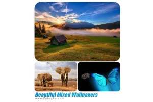 مجموعه والپیپر میکس شده و با کیفیت برای دسکتاپ Beautiful Mixed Wallpapers 2015