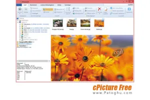 مشاهده و کار روی عکس های دیجیتال cPicture Free 3.4.3
