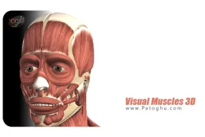 نرم افزار آناتومی سه بعدی عضلات و ماهیچه های بدن برای اندروید Visual Muscles 3D v3.0 Final