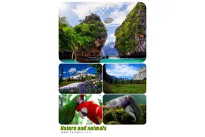 مجموعه تصاویر با کیفیت از طبیعت و حیوانات برای پس زمینه دسکتاپ Wallpapers Nature and Animals