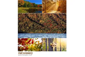 مجموعه تصاویر از چشم اندازهای طبیعی فوق العاده زیبا برای پس زمینه دسکتاپ Fall scenery