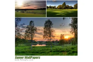 مجموعه تصاویر با کیفیت از طبیعت و بهار برای پس زمینه دسکتاپ Nature Wallpapers