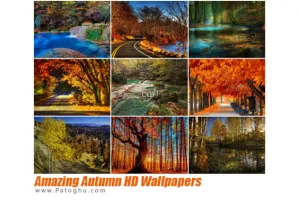 تصاویر والپیپر پاییز شگفت انگیز با کیفیت اچ دی Amazing Autumn HD Wallpapers