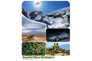 مجموعه پس زمینه های زیبا و با کیفیت میکس شده دسکتاپ Beautiful Mixed Wallpapers