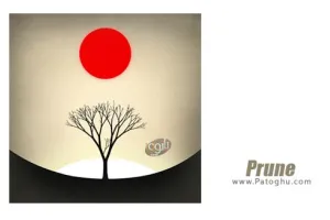 دانلود بازی نگهداری و پرورش درختان برای اندروید Prune v1.1.14