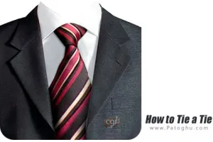 دانلود نرم افزار How to Tie a Tie Pro v4.0.9 آموزش بستن کراوات برای اندروید