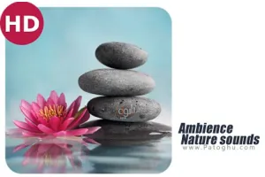 دانلود مجموعه صدای طبیعت آرام بخش برای اندروید Ambience - Nature sounds v2.10