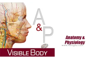 دانلود Anatomy &amp; Physiology 6.2 برنامه آناتومی و فیزیولوژی سه بعدی بدن انسان برای اندروید