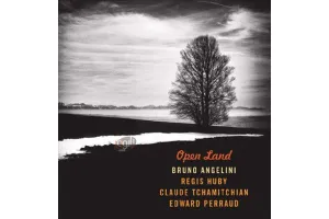 دانلود آلبوم موزیک بی کلام برونو آنجلیلی Bruno Angelini - Open Land (2018)
