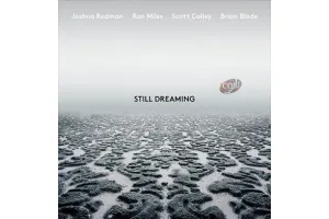 مجموعه آهنگ بی کلام جاشوا ردمن با نام همچنان رویایی Joshua Redman - Still Dreaming