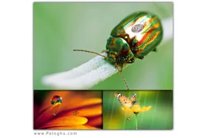 دانلود مجموعه اسکرین سیور های درخشان Shiny Day Screensaver