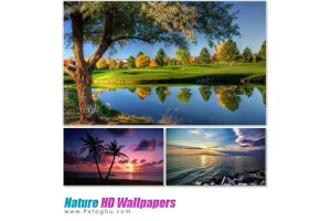 دانلود مجموعه والپیپر با کیفیت از طبیعت Nature HD Wallpapers