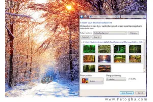 دانلود تم بسیار زیبای Tranquil Forest Theme برای ویندوز ۷