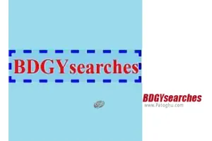 دانلود BDGYsearches 2.0.0.1 نرم افزار جست و جوی پیشرفته در اینترنت
