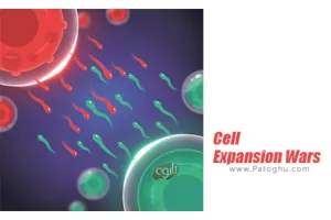 دانلود بازی 1.1.9 Cell Expansion Wars نصب بازی مبارزه گسترش سلول ها برای اندروید و مود