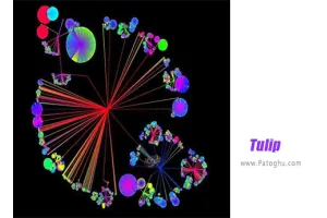 دانلود Tulip (Windows) 5.5.1 نمایش اطلاعات در چارت برای ویندوز