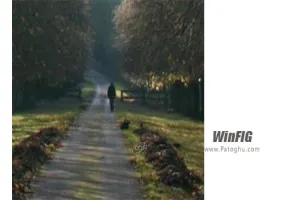 دانلود WinFIG 2024.2 طراحی مدل های دو بعدی فیزیکی و هندسی