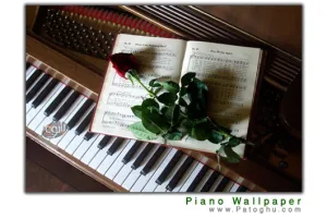 دانلود پس زمینه پیانو - بکگراند پیانو برای دسکتاپ کامپیوتر - pictures piano