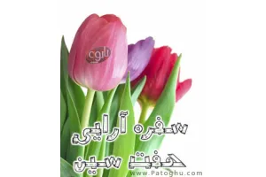 دانلود کتاب الکترونيکي تزیین سفره هفت سین ويژه عيد نوروز