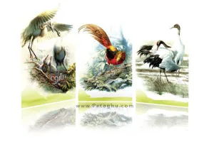 دانلود والپیپر های نقاشی از پرندگان طبیعت - اندازه ۳۶۰×۶۴۰