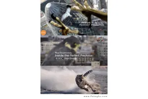 دانلود مستند شناسایی و شکار طعمه در 4 حیوان درنده دنیا BBC Inside the Perfect Predator 2010