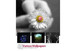 مجموعه ای از 40 تصویر پس زمینه با موضوع گوناگون