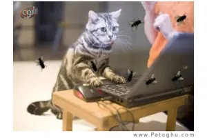 پرواز مگس ها روی دسکتاپ با Fly on Desktop ScreenSaver 1.2