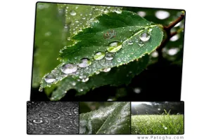 دانلود مجموعه تصاویر بسیار زیبای زیبا از بارش باران Rain Wallpapers