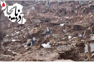 زلزله آذربایجان و همدردی با عزیزان آذری زبان