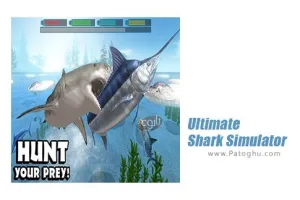 دانلود بازی شبیه سازی کوسه برای اندروید Ultimate Shark Simulator v1.1