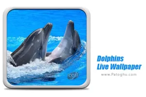 دانلود 11.0 Dolphins Live Wallpaper والپیپر زنده دلفین ها برای اندروید