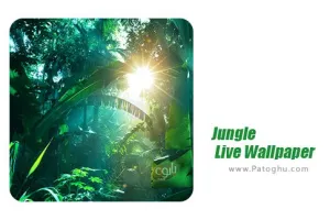 دانلود 26.06.19 Jungle Live Wallpaper والپیپر زنده جنگل برای اندروید